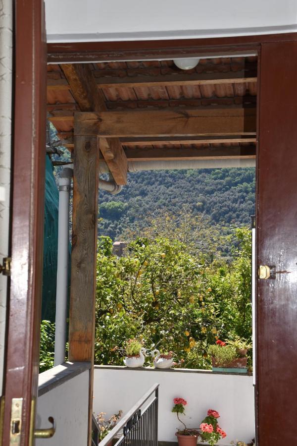 Villa Carmela Piano di Sorrento Zewnętrze zdjęcie